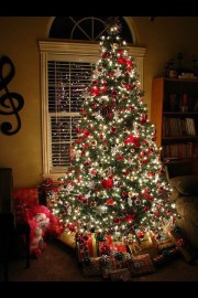 好看圣诞节这天，安静甜美岁月静好图片