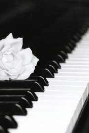 唯美弹起钢琴奏出音乐的那一瞬间你一定不知道你就是最美的天使图片