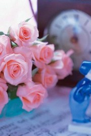 浪漫唯美好看的玫瑰花高清图片