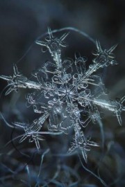好看你就像天上飘落的雪花让我每次都期待图片