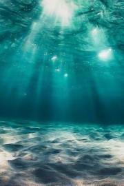 小清新唯美手机高清风景图片