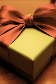 唯美恰好美丽的你配上恰好美丽的蝴蝶结图片