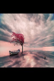 超美我爱极了那些梦幻般的彩色大树图片