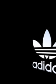 好看你跟我说过你最喜欢三叶草图片