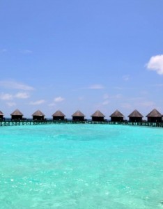 超美在马尔代夫的日子我永远不会忘怀图片