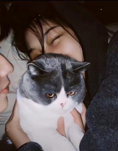 头像微信情侣两个人用，所谓安全感就是有你的存在