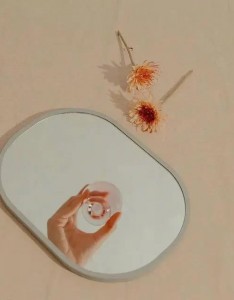 镜子里的花儿小清新唯美图片