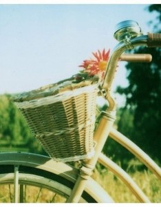 国外可爱LOMO图片集合