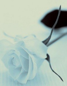 个性唯美意境安静图片