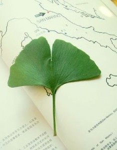 唯美意境图片大全