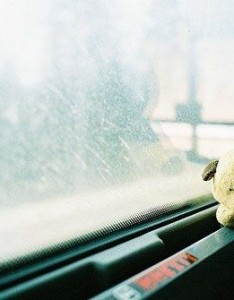 可爱唯美图片大全