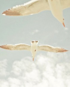 日系唯美可爱图片大全