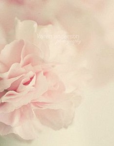 春天花儿唯美意境图片