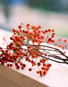 早安心语图片 早安图片