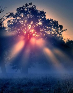 思念唯美文字配图