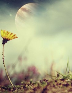 早上好唯美图片