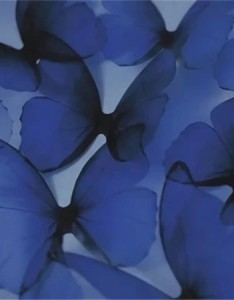 ins淡蓝色超仙气背景图 别希望别盼望别指望就不会失望