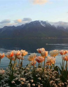 好看到爆的喜欢的温柔系背景大全 心心念念的朋友圈背景图更新啦