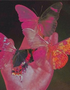 蝴蝶元素微信唯美背景图片大全 我很忙但我随时对你有空