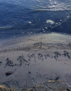 2022简约不失浪漫的高清背景合集 阳光暖暖生活总会有希望