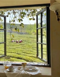 高清好看的温柔背景图合集 2022超棒超赞的背景合集