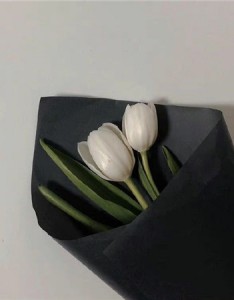 冷色系ins风图片微甜好看 得其以偏爱倾尽平生慷慨