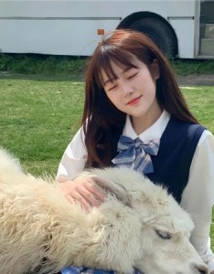 绿色系背景图清新超级好看又唯美 早起的意义在于拥有了午睡