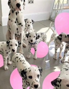 高级感背景图片2022新款好看 星星睡不着的时候也会数人类吗