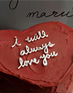 温柔治愈系背景图片高清又可爱 现在保护花的方式居然是不让花开