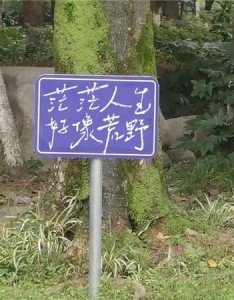 超棒的带字朋友圈背景素材合集 小众好看的空间素材大全