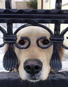 2022最火的微信头像搞笑，这样搞笑一生喜欢