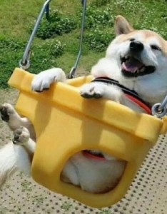 好玩的逗比搞怪奇葩搞笑卡通情侣头像情侣分开一人一张