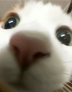 全新出炉的情头一对高清 日出日落我们总能等到