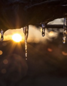 冬日夕阳唯美意境图片