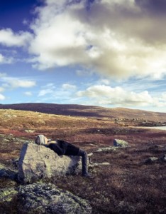非主流唯美意境图片