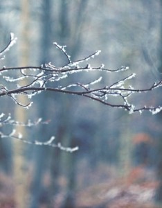 冬天唯美意境图片