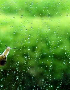 雨唯美伤感意境图片