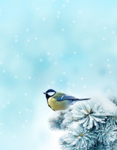 冬季雪景唯美意境图片