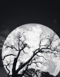 唯美悲伤意境图片