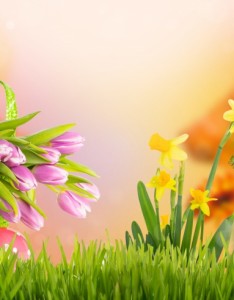 花草唯美意境图片