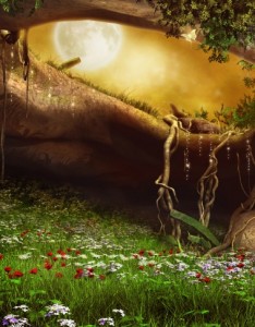 森林草地夜晚唯美图片