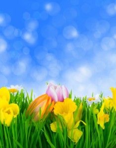 唯美花草植物图片