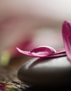 唯美花瓣鹅卵石图片