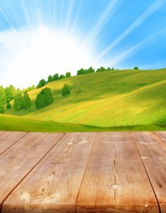 蓝天白云山坡上的树林图片