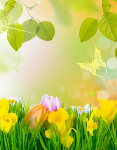 花草蝴蝶绿叶背景图片