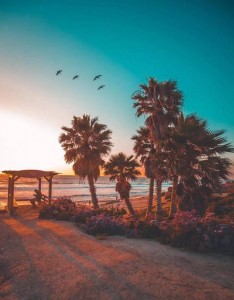 傍晚夕阳图片 天空风景图片