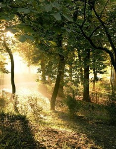 五十岁女人的风景高清，给人以暖的感觉，舒适极了