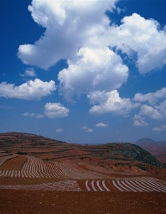 图片唯美风景带来好运，冬天的风景夏天的风景都有