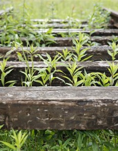火车轨铁轨风景头像，在夕阳下显得更是好看