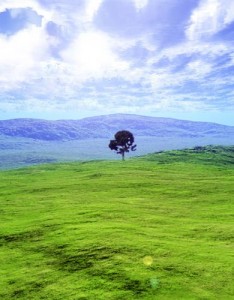 风景图片大全清新淡雅，这才是大自然的美